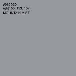 #96999D - Mountain Mist Color Image